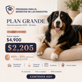 Plan Huella Grande Contado — Mascotas de 20.01 a 40 kg