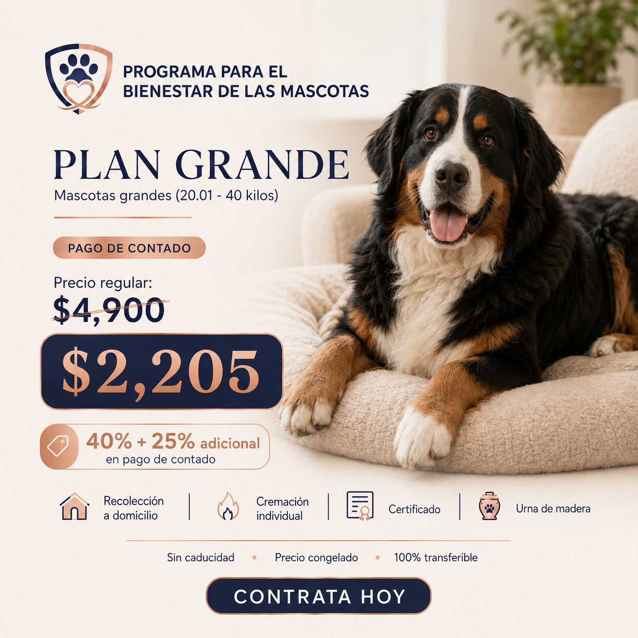 Plan Huella Grande Contado — Mascotas de 20.01 a 40 kg