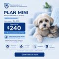 Plan Mini a mensualidades — Pago inicial de $240