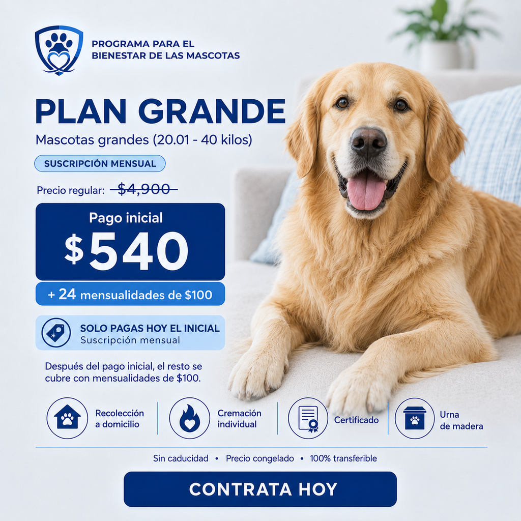 Plan Grande a mensualidades — Pago inicial de $540