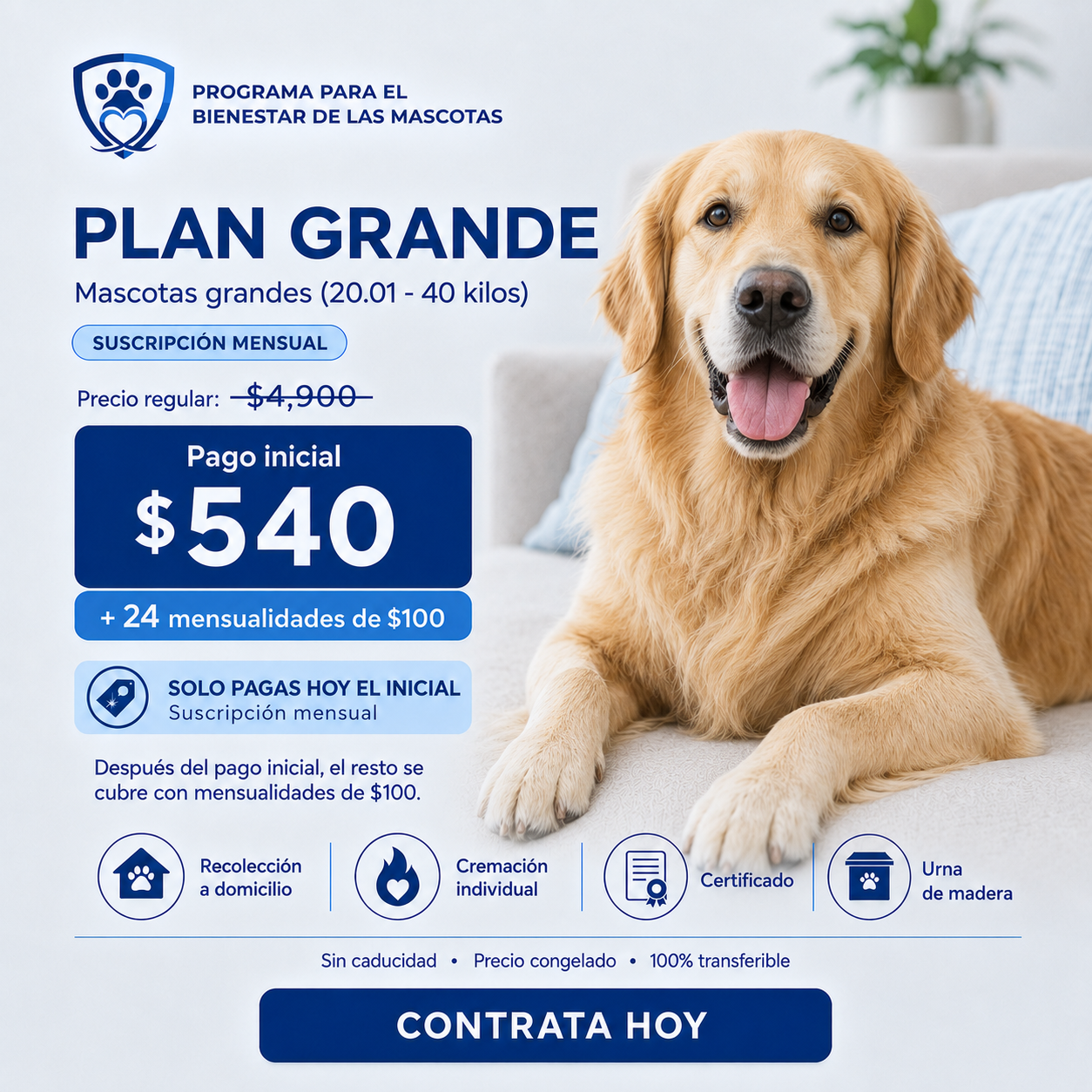 Plan Grande a mensualidades — Pago inicial de $540