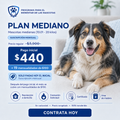 Plan Mediano a mensualidades — Pago inicial de $440