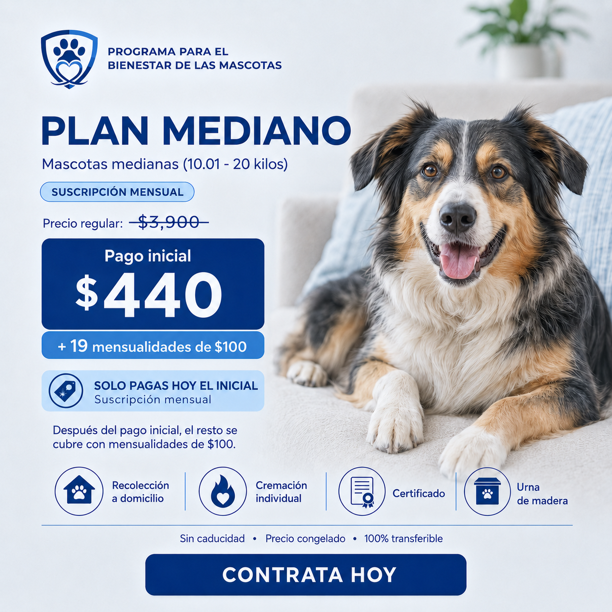 Plan Mediano a mensualidades — Pago inicial de $440